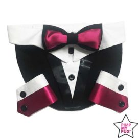 pettorina tuxedo giacca con papillon cane, bulldog, carlino, matrimonio